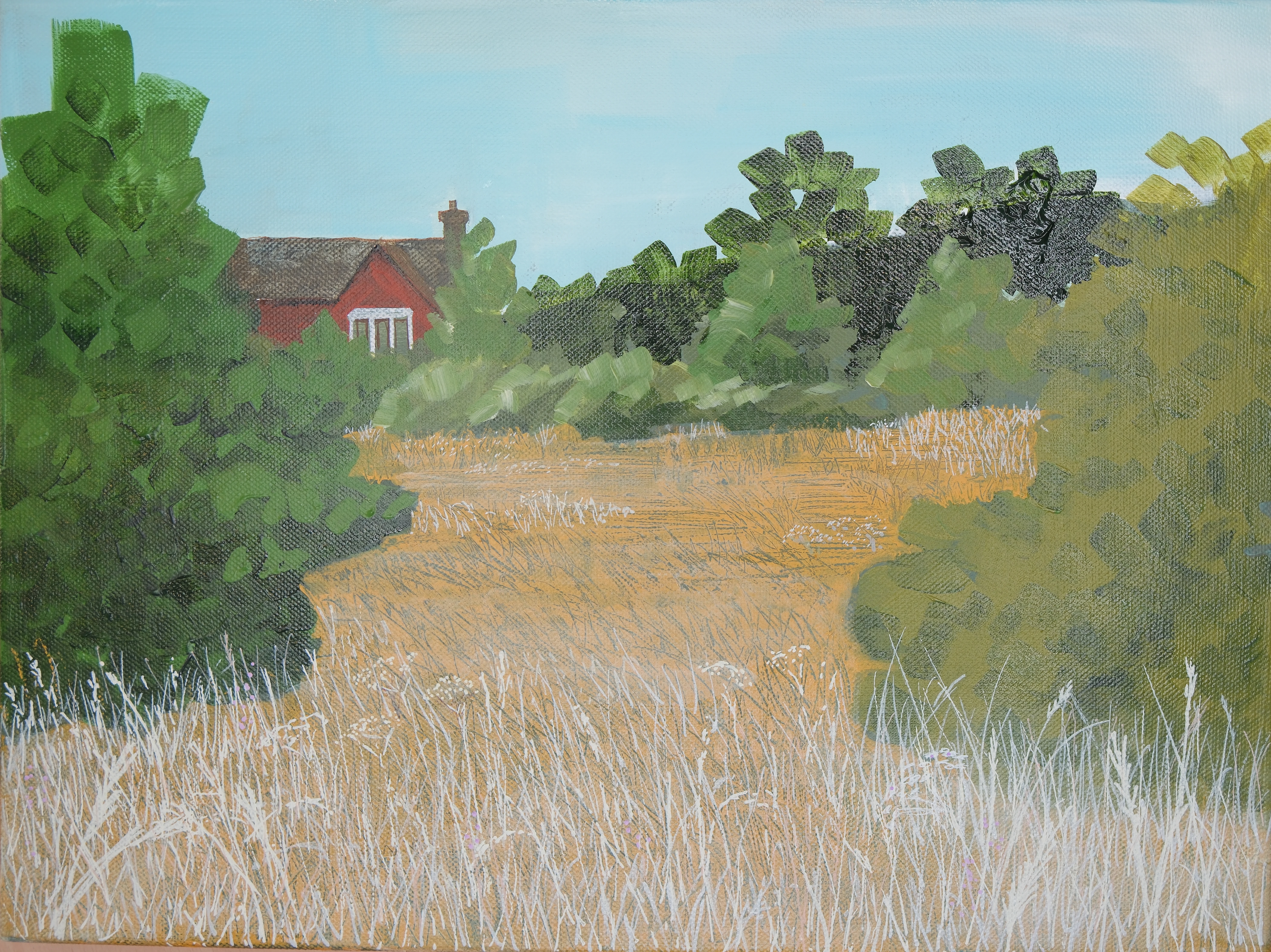 On Top of Cabbage Hill